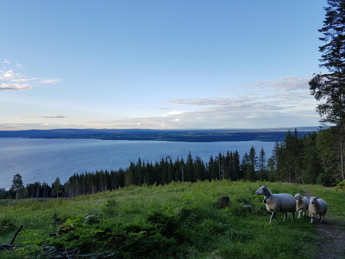 Skreia Idylliske Evjua Ved Mjosa酒店 外观 照片
